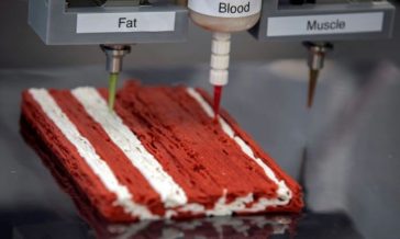 Carne stampata in 3D e burro senza latte, pronti al futuro? 11 Carne stampata in 3D