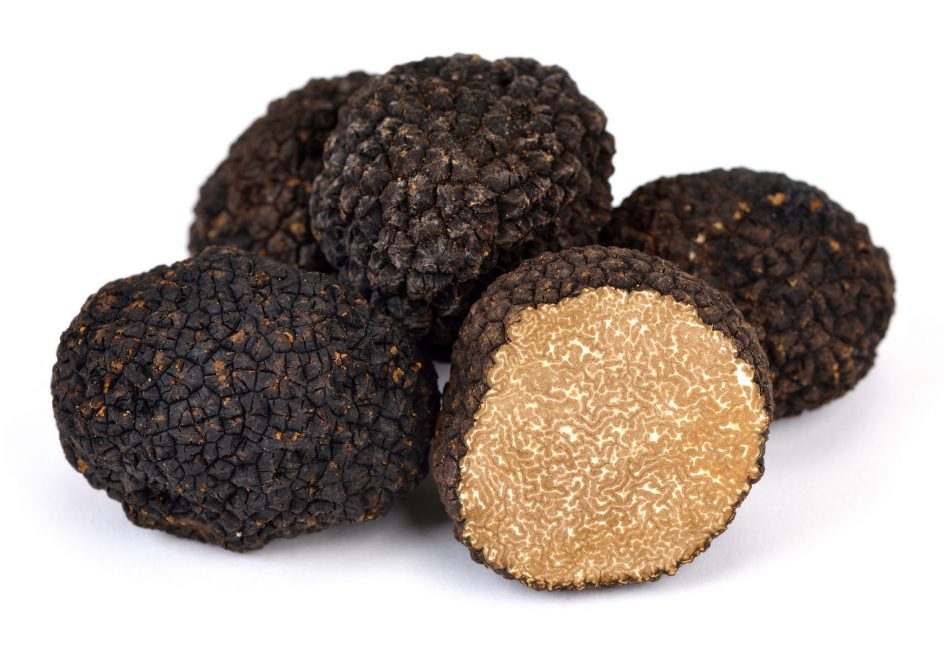 Tutto sul tartufo e la Fiera del Tartufo Bianco d'Alba (+ 1 ricetta) 3 cerca cavatura e1639697760966