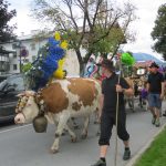 week end d'autunno in austria: non solo vienna