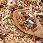 ingredienti sapore cibo e cultura