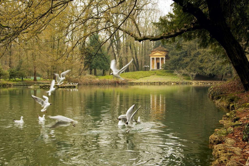 5 posti vicino a Milano bellissimi per un week end 7 parco monza
