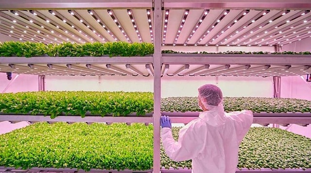 Agricoltura 4.0
