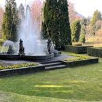 villa taranto sul lago maggiore, un giardino botanico da non perdere