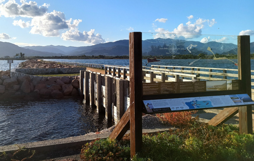 La laguna di Nora in Sardegna: tra natura e archeologia 1 laguna nora famelici