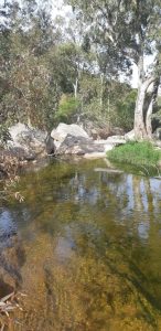 La Sardegna che ci piace: Loiri Porto San Paolo in rete 1 loiri porto san paolo