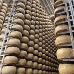 brazzale il formaggio made in future