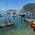 Cantine subacquee: il grande tuffo di Nautilus CruStorico 8 Nautilus CruStorico, lo spumante che affina nelle acque del lago d'Iseo