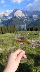 Noi siamo ciò che mangiamo: il cibo e la nostra identità culturale 6 vino