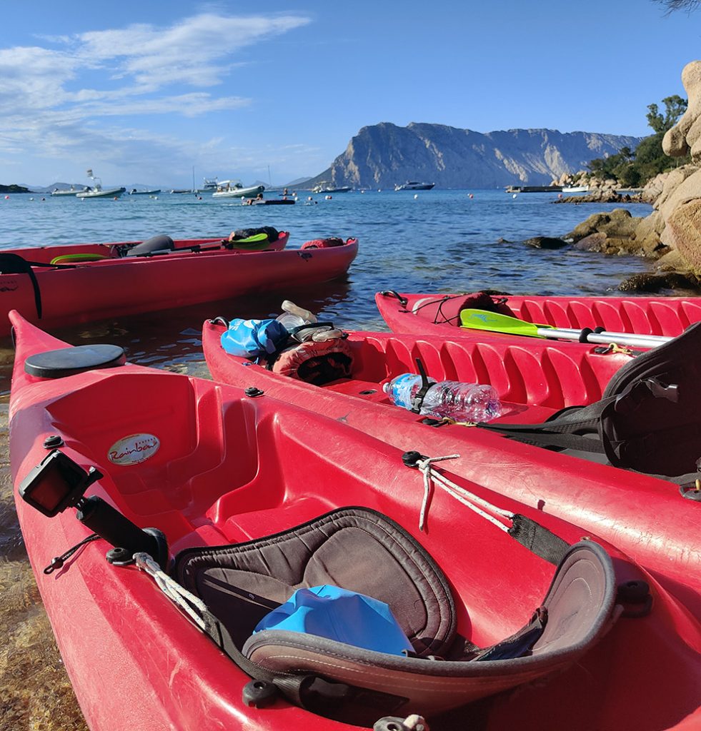 1 a12in canoa con ecosport.