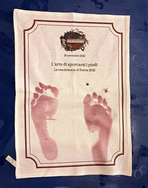 La vendemmia di Fratta 2022 e l'arte di sporcarsi i piedi 13 1vendemmia pigiatura maculan
