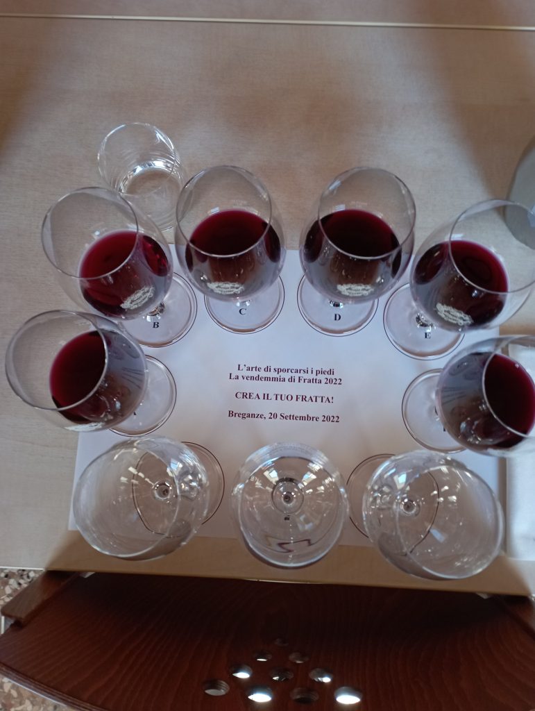 La vendemmia di Fratta 2022 e l'arte di sporcarsi i piedi 5 degustazione da maculan