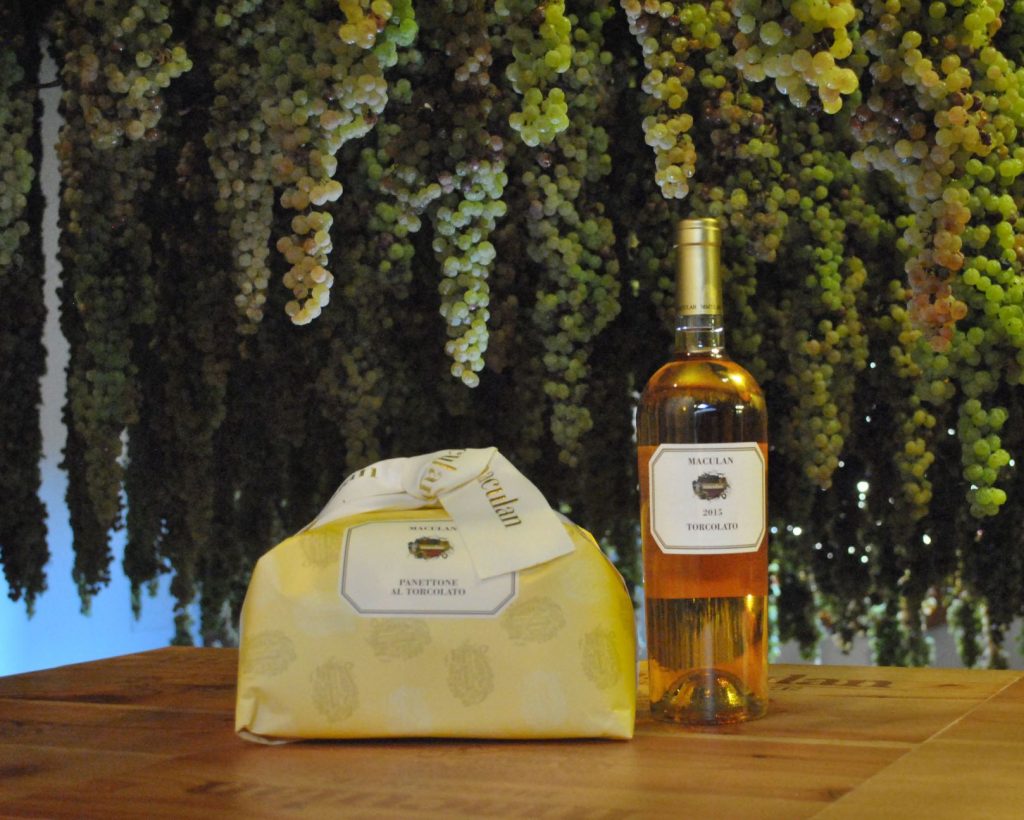 La vendemmia di Fratta 2022 e l'arte di sporcarsi i piedi 10 panettone torcolato maculan