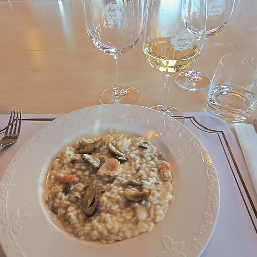 La vendemmia di Fratta 2022 e l'arte di sporcarsi i piedi 8 risotto porcini capesante maculan