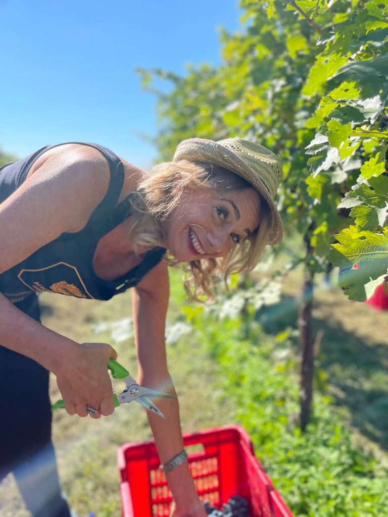 La vendemmia di Fratta 2022 e l'arte di sporcarsi i piedi 2 vendemmia fratta monica viani
