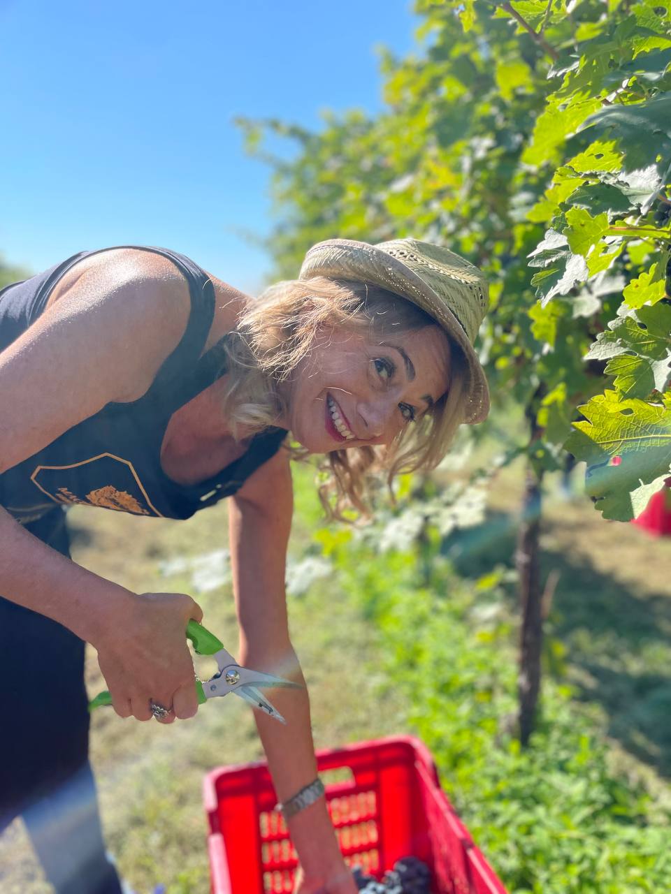 Dal Made in Italy al Sense of Italy: quando il valore diventa esperienza 1 la vendemmia di Fratta