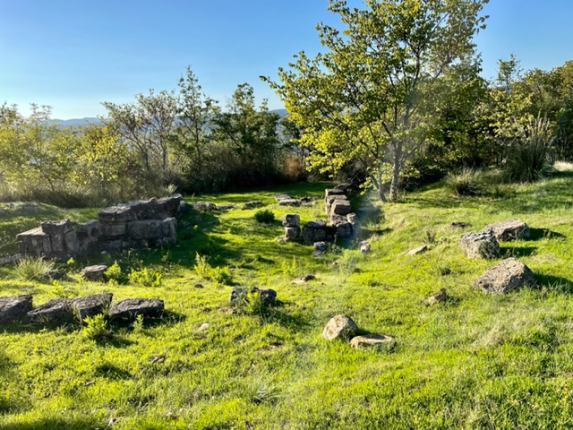 Cantina Vignaioli Morellino di Scansano da 50 anni racconta la Maremma 1 Cantina Vignaioli Morellino di Scansano