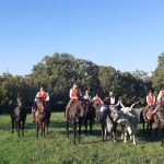 Cantina Vignaioli Morellino di Scansano da 50 anni racconta la Maremma 11 Cantina Vignaioli Morellino di Scansano