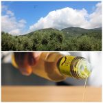 L'olio da taggiasca ligure riconosciuto dall'intelligenza artificiale 13 L'olio da taggiasca ligure e l'intelligenza artificiale