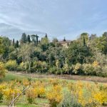 Week end a Palazzo di Varignana tra olio, cibo e cultura 9 Week end a Palazzo di Varignana