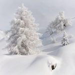 vacanza a capodanno