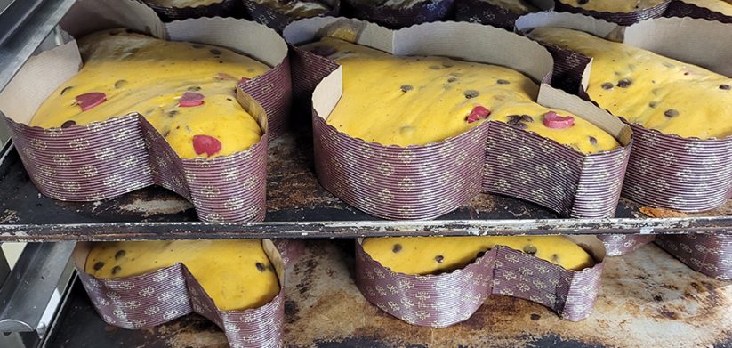 Le colombe di Pasticceria Filippi: tutto ciò che devi sapere 21 Le colombe di pasticceria Filippi