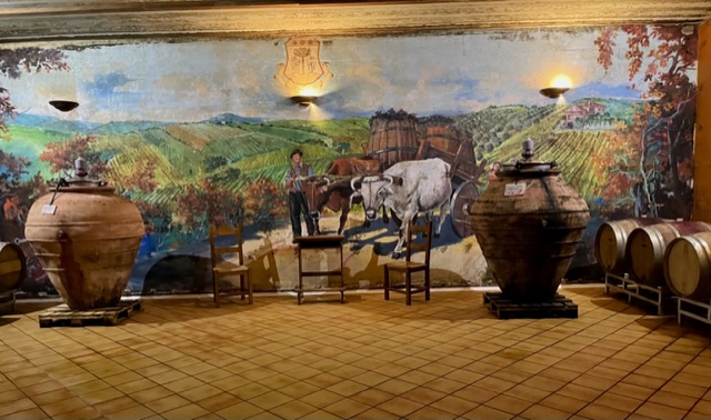 I vini Il Conte Villa Prandone, una degustazione in cantina 1 vini Il Conte Villa Prandone 1