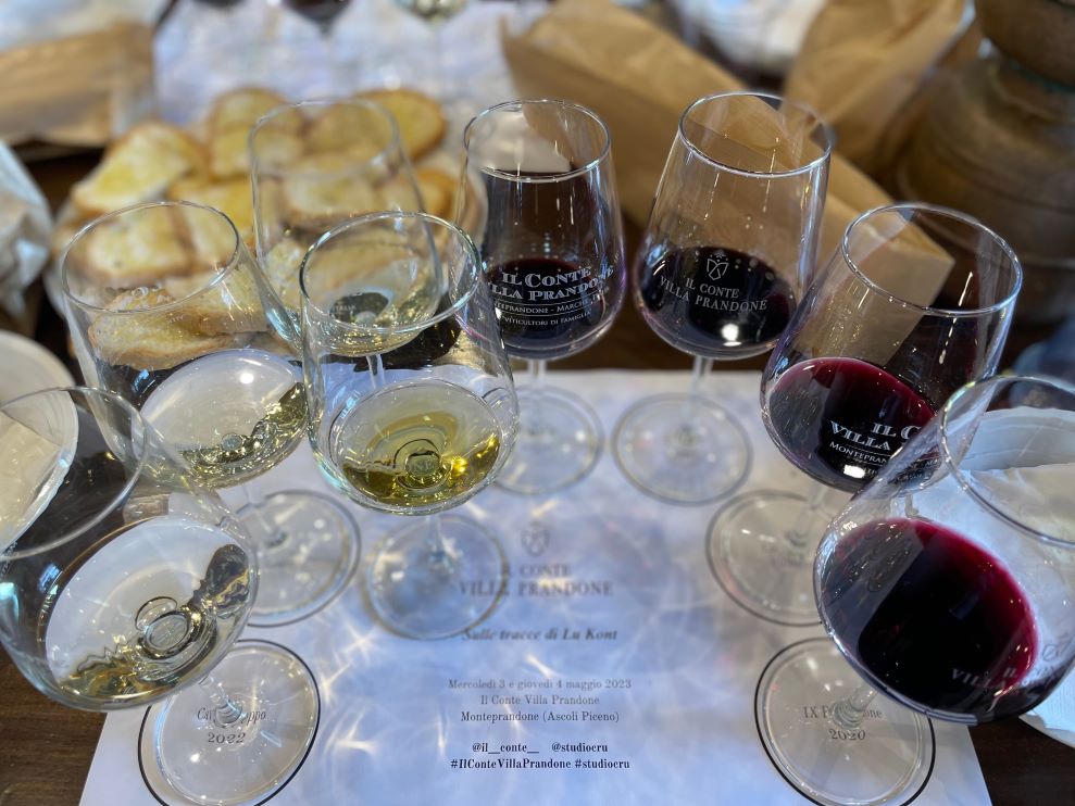I vini Il Conte Villa Prandone, una degustazione in cantina 2 vini Il Conte Villa Prandone degustazione