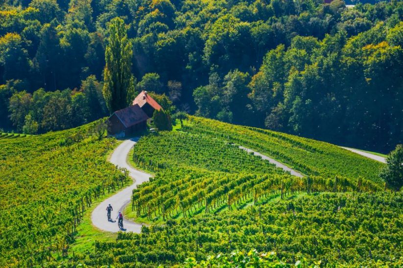 Green Gourmet Route
