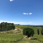 vini sostenibilità inclusione
