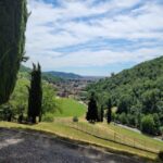 rinascita dei Ronchi di Belvedì