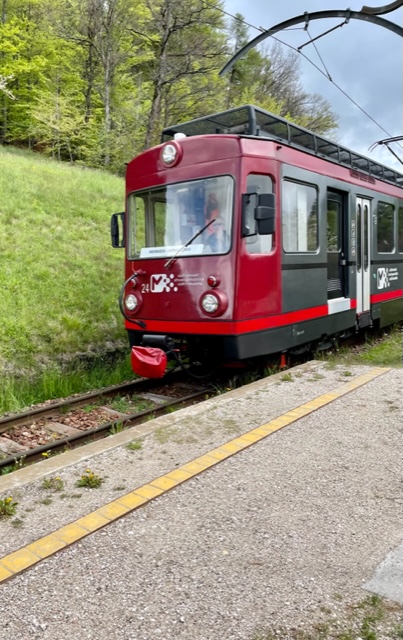 renon trenino