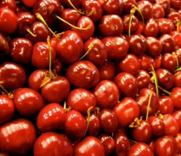 Acerola, il frutto con 30 volte più vitamina C delle arance 7 acerola