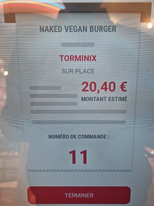 Carne vegetale, salsiccia di verdure: il Parlamento europeo dice no al burger vegetale 1 burger vegano