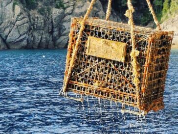 UnderWaterWines: l'exploit del metodo jamin 8 UnderWaterWines: l'exploit del metodo jamin