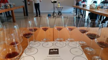 Cantina Vignaioli Morellino di Scansano