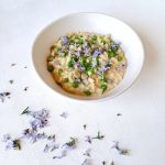 ricette vegetariane e case di legno