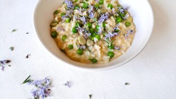 ricette vegetariane e case di legno