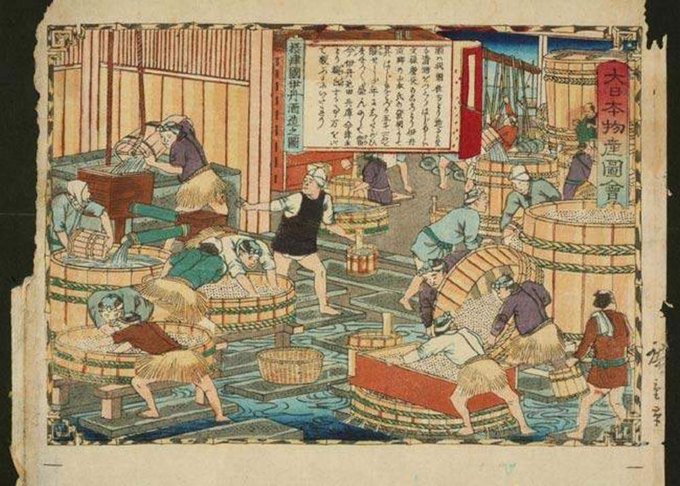 koji di riso