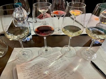 Vinum 2024 ad Alba: 5 motivi per andare ad un evento a cielo aperto 14 Vinum 2024 ad Alba