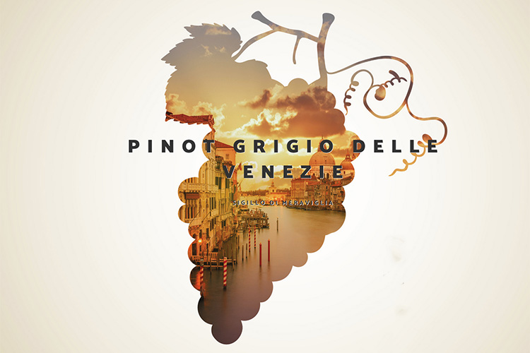Pinot Grigio delle Venezie DOC