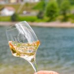 Pinot Grigio delle Venezie DOC:
