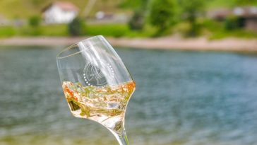 Pinot Grigio delle Venezie DOC: