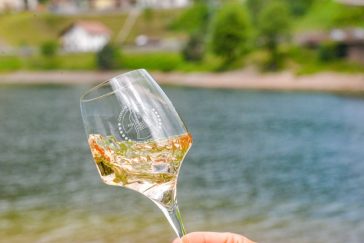 Pinot Grigio delle Venezie DOC: l'anima bianca del Triveneto 2 Pinot Grigio delle Venezie DOC: