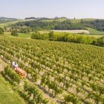 Monferrato e vino: la filosofia della cantina trasparente Hic et Nunc 11 Monferrato e vino