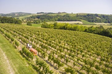 Monferrato e vino: la filosofia della cantina trasparente Hic et Nunc 13 Monferrato e vino