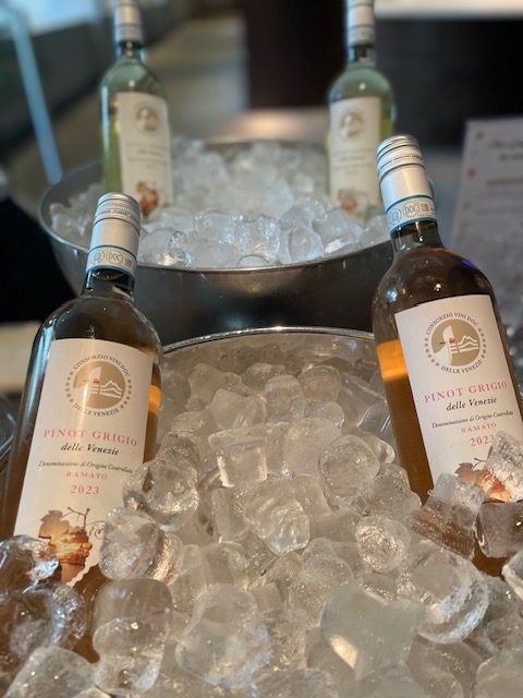 Pinot Grigio delle Venezie DOC