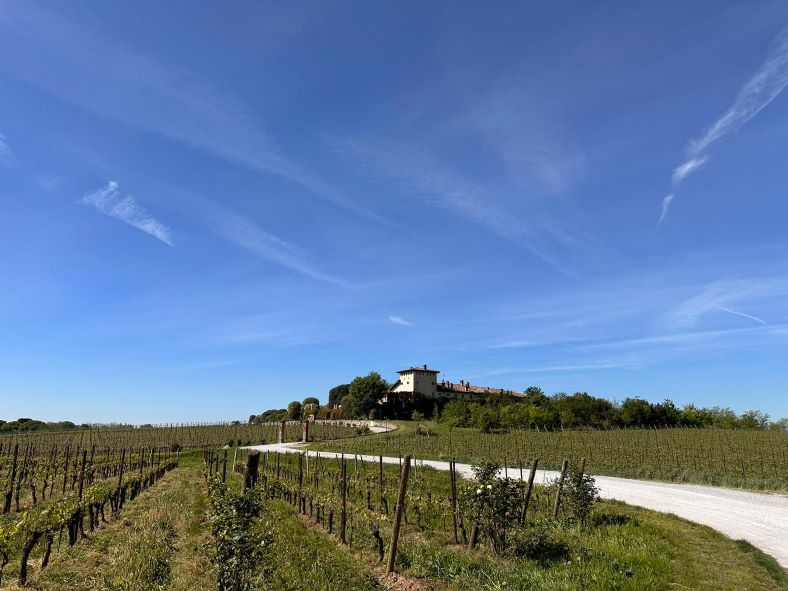 vigneti al dossello