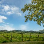 fughe romantiche tra vigneti e lago