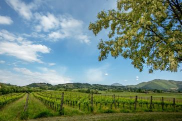 Fughe romantiche tra vigneti e lago: 5 mete in Lombardia 4 fughe romantiche tra vigneti e lago