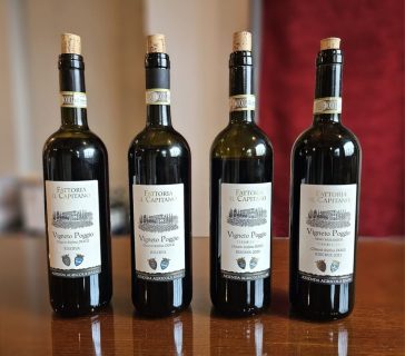 Un viaggio nel mondo del Chianti Rùfina attraverso i vini di Fattoria Il Capitano 10 Un viaggio nel mondo del Chianti Rufina